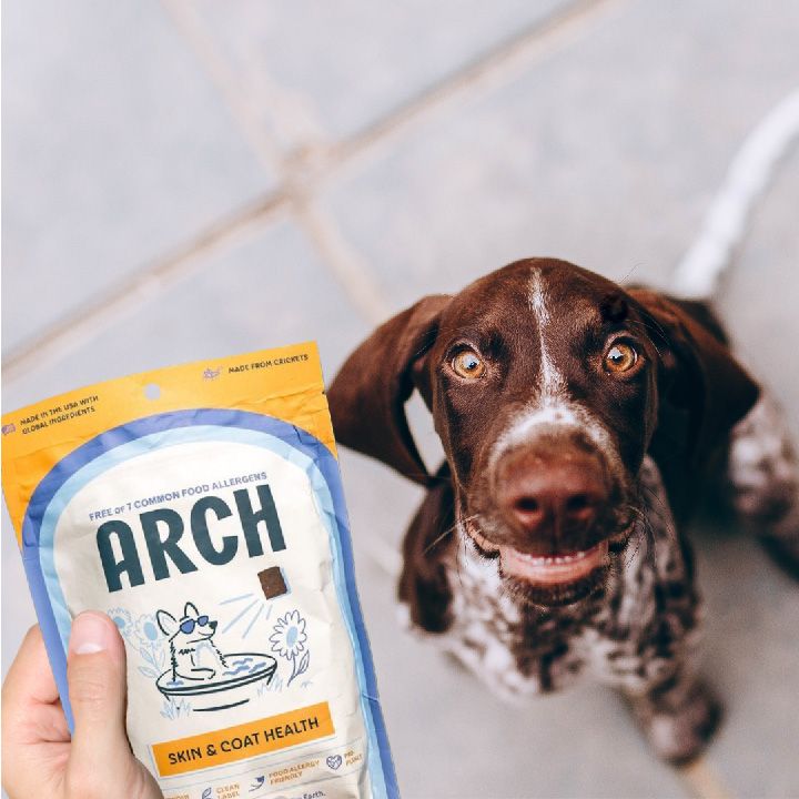 Arch_Image_1