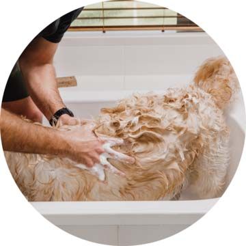 Benefits-of-WashBar-Easier-To-Wash-Your-Dog_360x
