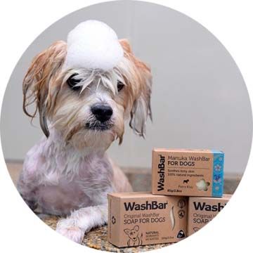Small-Dog-Soap-Head-WashBar-Soap-Shampoo-Homepage_360x