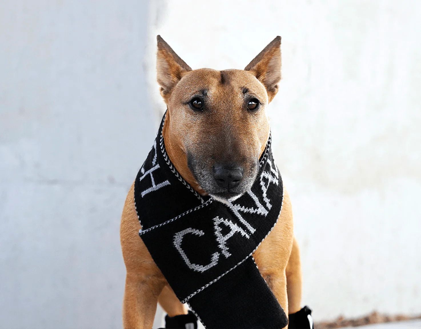 Sustainability_LP___Logo_Scarf_1_1484x