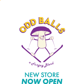 Odd Balls Funguy - Mushroom-Powered Energy Balls